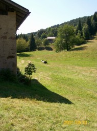 Trento Trento