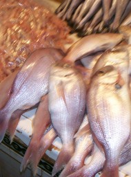 Mercado de Jerez