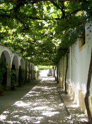 Jerez