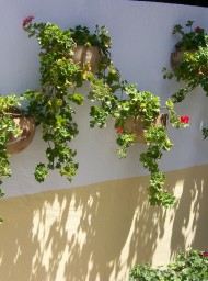 Jerez