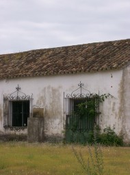 Doñana