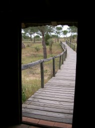 Doñana