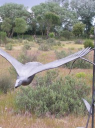 Doñana