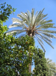 Córdoba Córdoba