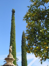 Córdoba Córdoba