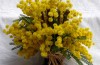 Día Internacional de la Mujer, 8 de marzo de 2010