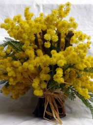 Día Internacional de la Mujer, 8 de marzo de 2010