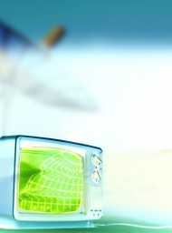 Toxinas informativas