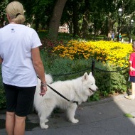 Gente en Nueva York 2 (32)