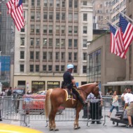 Gente en Nueva York 2 (37)