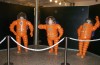 Museo del Comic - Bruselas (18)