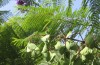Nerja 3 (19)