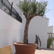 Nerja 3 (43)
