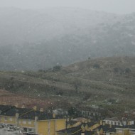P1030460