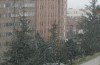 P1030465