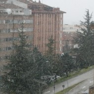 P1030465