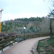 P1030591