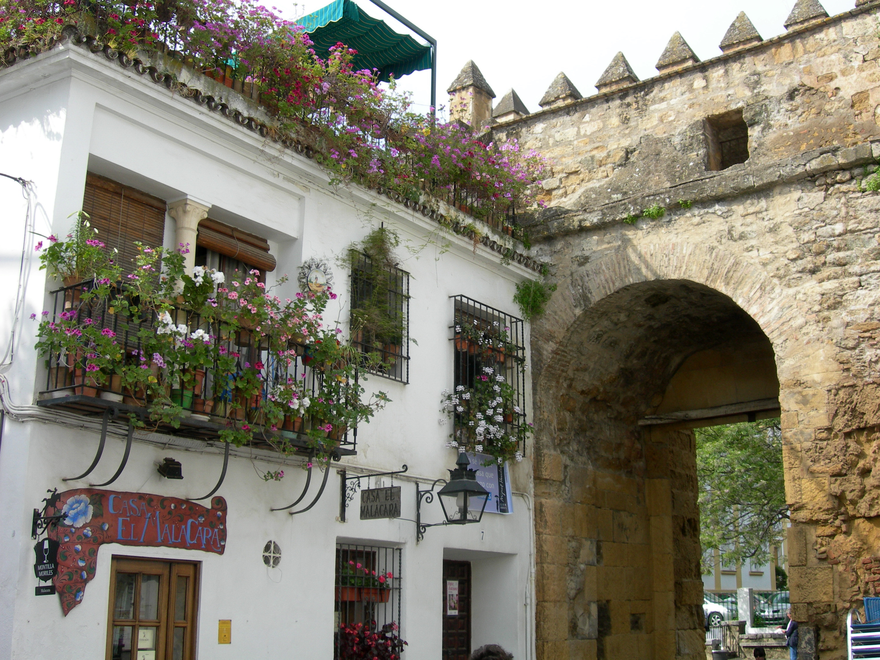 Los patios cordobeses