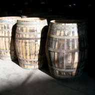 Rura del Vino Montilla Moriles (30)