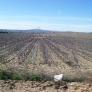 Rura del Vino Montilla Moriles (48)