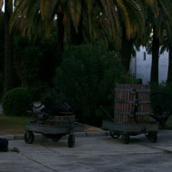 Rura del Vino Montilla Moriles (6)