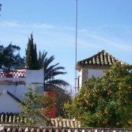 Rura del Vino Montilla Moriles (66)