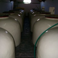 Rura del Vino Montilla Moriles (67)