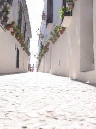 arcos-51 arcos-51