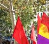 Lo de la calle se está convirtiendo en una plaga…