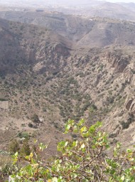 canarias159
