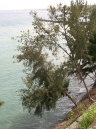 canarias16