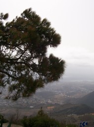 canarias165