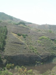 canarias209