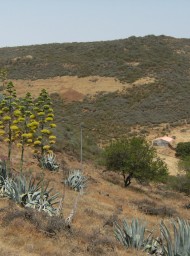 canarias224