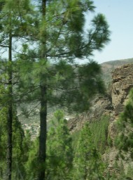 canarias234