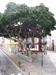 canarias283