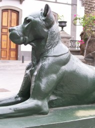 canarias314
