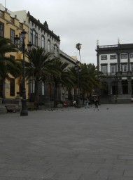 canarias317