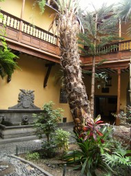 canarias337