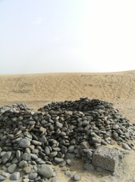 canarias95