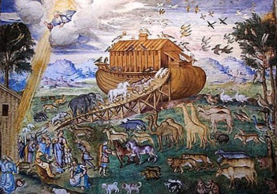 Hacia el arca de Noé